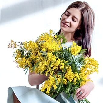 Мимоза микс