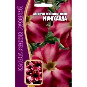 Адениум Петролистный Мунгсакда 3шт (Ред.сем)