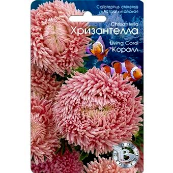 Астра ХРИЗАНТЕЛЛА Коралл однолетник 30шт (Биотехника)