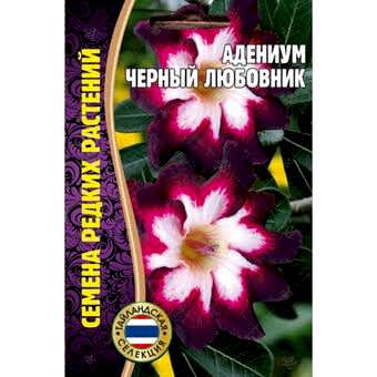 Адениум Черный любовник 3шт (Ред.Сем)