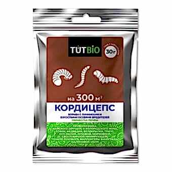 КОРДИЦЕПС для почвы 30гр ТУТ БИО
