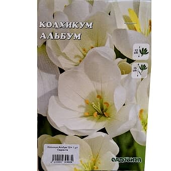 Колхикум Альбум 13/+ 1 шт Садовита