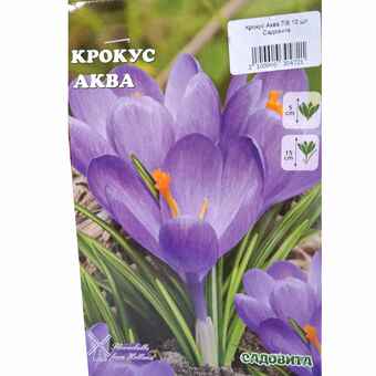 Крокус Аква 7/8 10 шт Садовита
