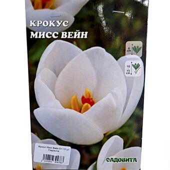 Крокус Мисс Вейн 5/+ 10 шт Садовита