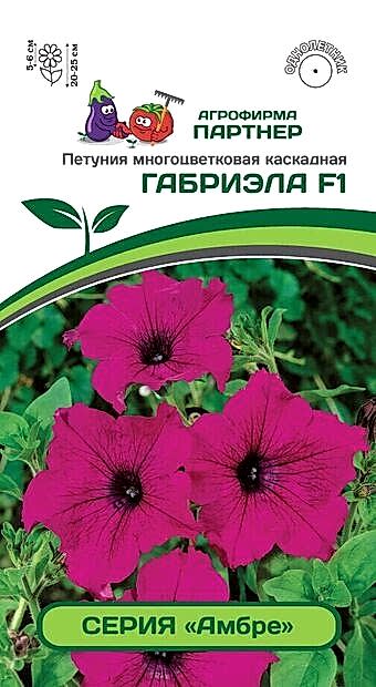 Семена Партнер Петуния Амбре ГАБРИЭЛА F1, Многоцв. Каскадная, 5 шт