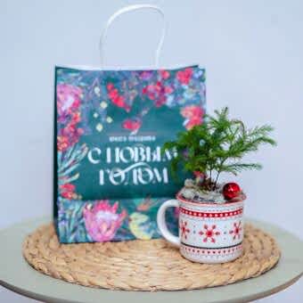 Новогодний Подарочный Набор Тропическая Ель Араукария в Кружке