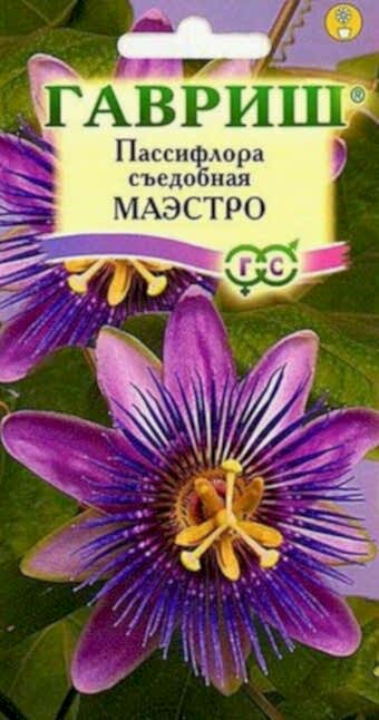 Пассифлора Съедобная Маэстро 5шт (Гавриш)