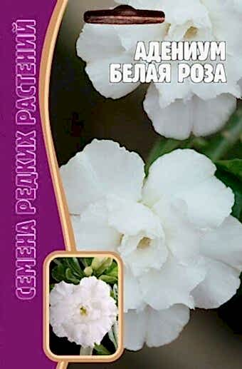 Адениум Белая Роза 3шт (Ред.сем)