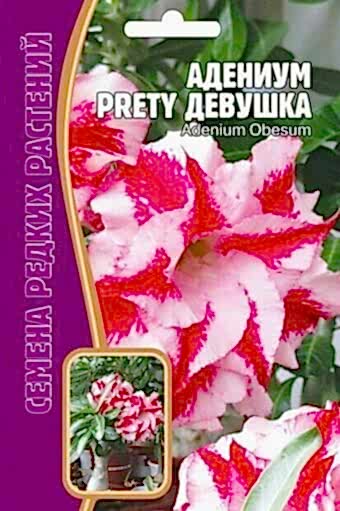 Адениум Обесум Прелестная Девушка 3шт (Ред.сем)