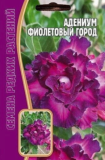 Адениум Фиолетовый Город 3шт (Ред.сем)
