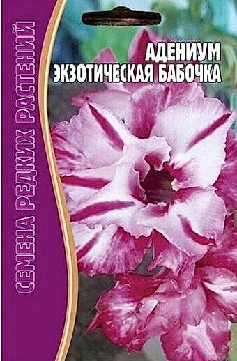 Адениум Экзотическая Бабочка 3шт (Ред.сем)