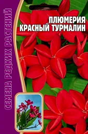 Плюмерия(франжипани) Красный турмалин 3шт(Ред.сем)