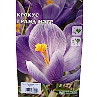 Крокус Гранд Мэтр 7/8 10 шт Садовита